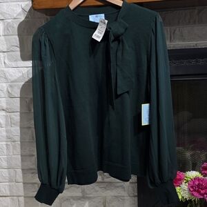 NWT_CeCe Women's Bow Neck Sheer Long Sleeve Sweater Large - Alpine Green.